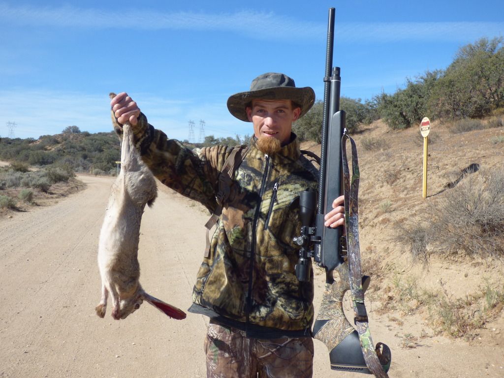 Jackrabbit hunt with Marauder
